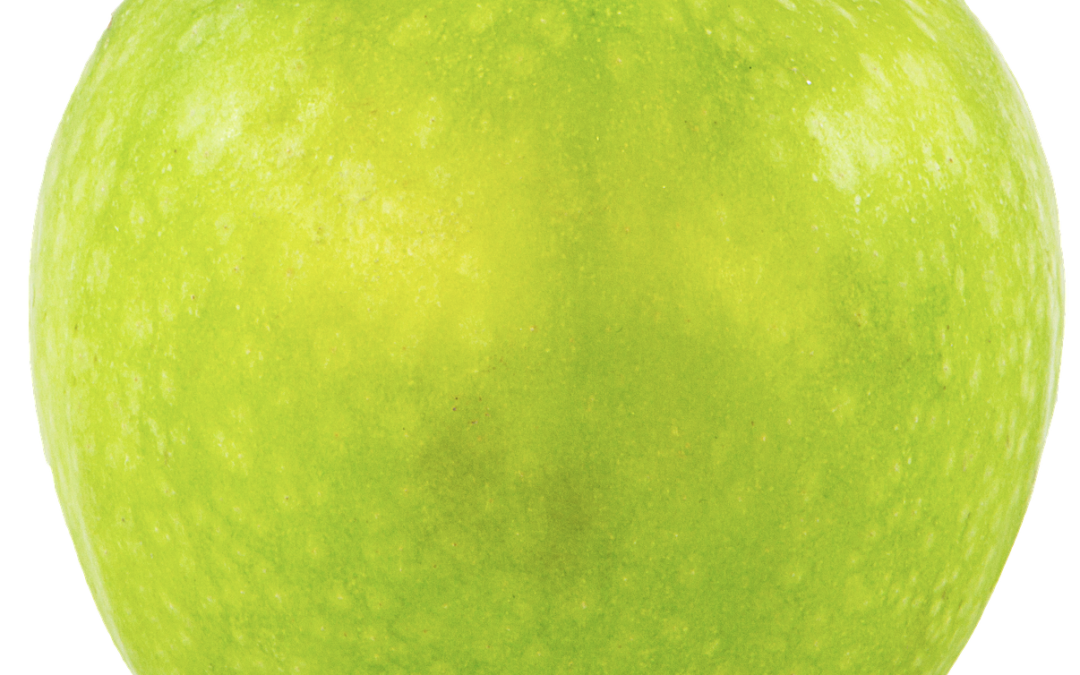 Test blog